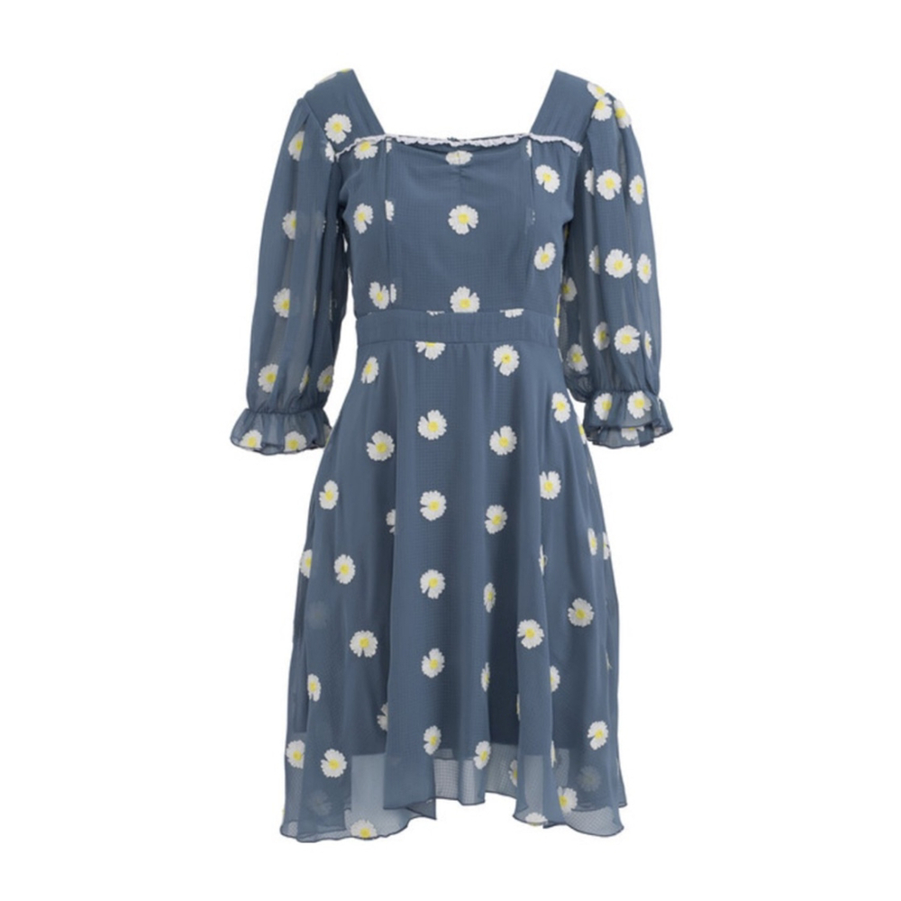 Ivy City co Daisy Embroidered Dress